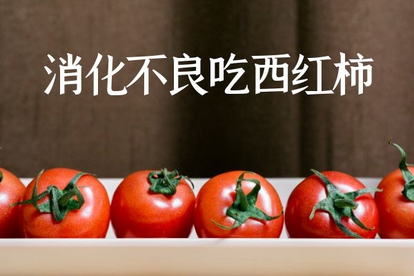 西红柿
