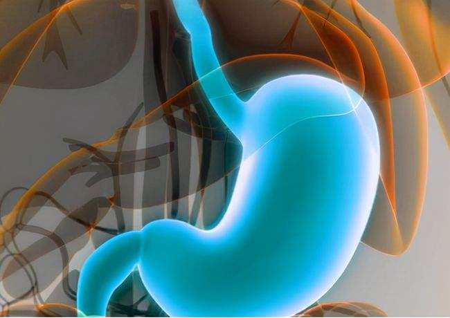  芭蕉的功效与作用，芭蕉的禁忌有哪些？