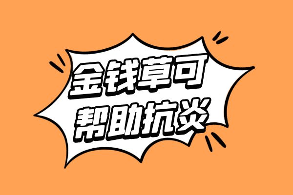  金钱草的功效与作用及禁忌有哪些？