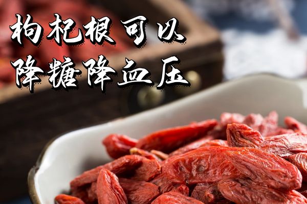  枸杞根的功效与作用及禁忌有哪些？