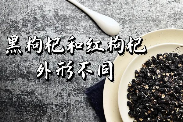  黑枸杞与红枸杞的区别 黑枸杞与红枸杞有什么不同