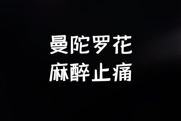  关于曼陀罗花的功效与作用及禁忌你了解多少？