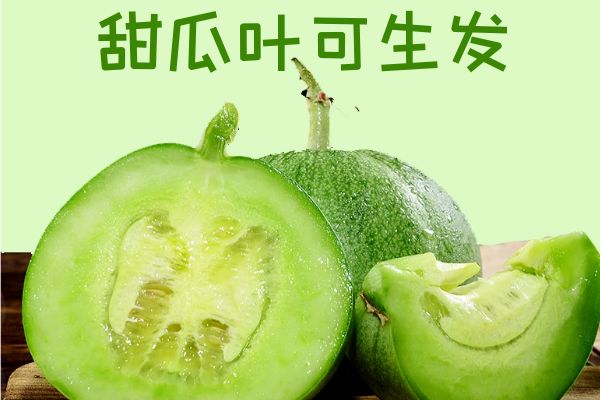  甜瓜叶的功效和作用具体都有哪些呢？