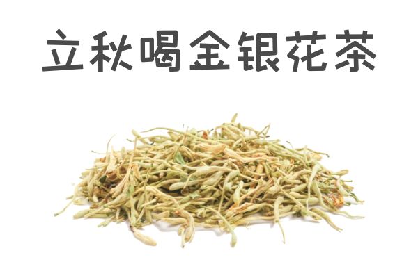 金银花茶