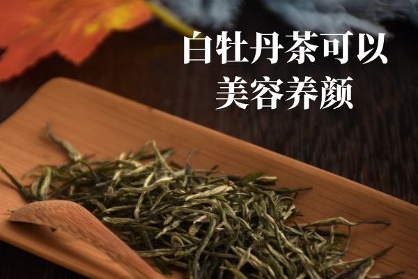  白牡丹茶的功效与作用有哪些？白牡丹茶的禁忌人群