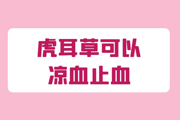  关于虎耳草的功效与作用及禁忌你了解多少？