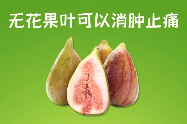  无花果叶的功效与作用及禁忌有哪些？