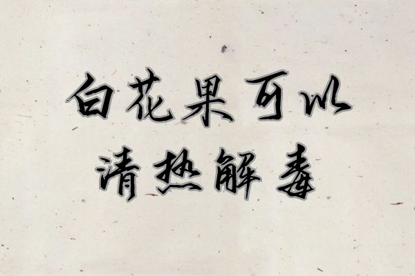  关于白花果的功效与作用及禁忌你了解多少？