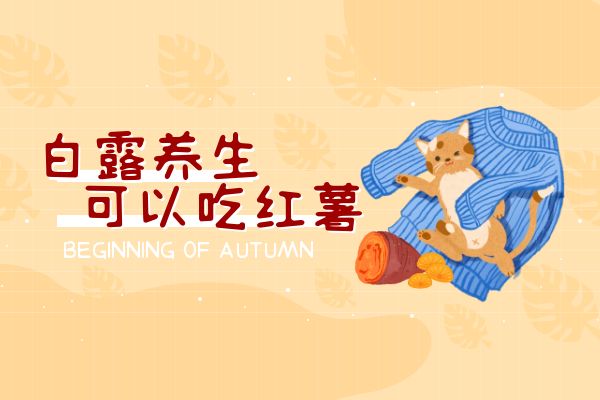  白露养生吃什么食物？这几种食物可以多吃