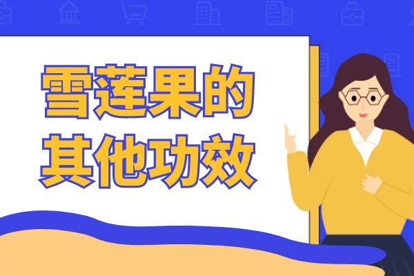 雪莲果的其他功效