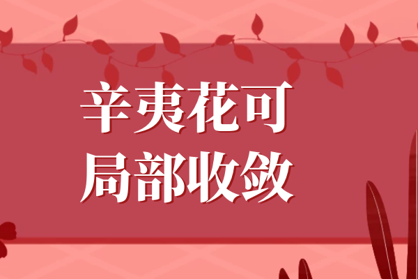  辛夷花的功效与作用及禁忌有哪些？哪些人不适合服用辛夷花