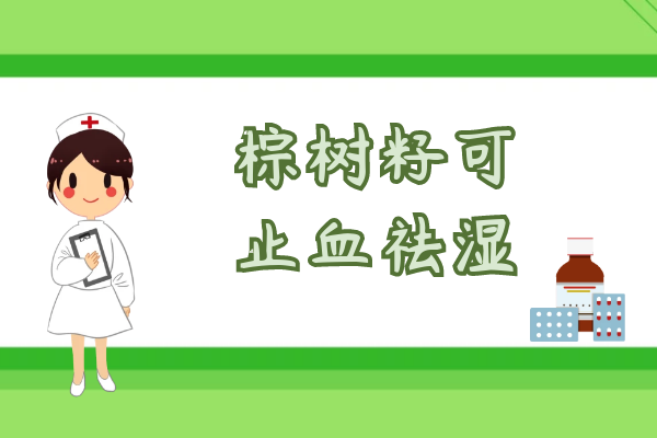  棕树籽的功效与作用及禁忌有哪些？