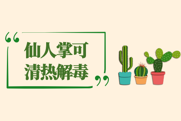  仙人掌的功效与作用及禁忌  吃仙人掌有哪些好处？