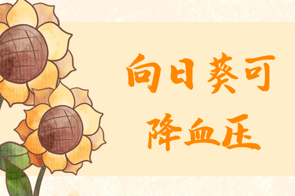  关于向日葵的功效与作用及禁忌你了解多少？