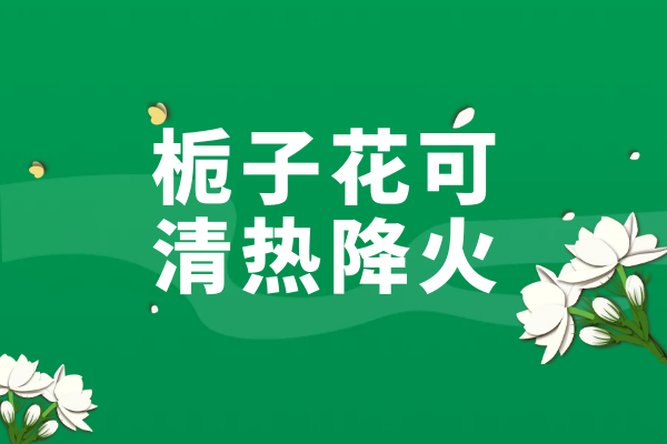  栀子花的功效与作用及禁忌有哪些？