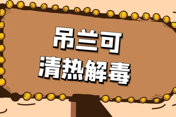  吊兰的功效与作用及禁忌有哪些？