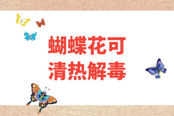  关于蝴蝶花的功效与作用及禁忌你了解多少？