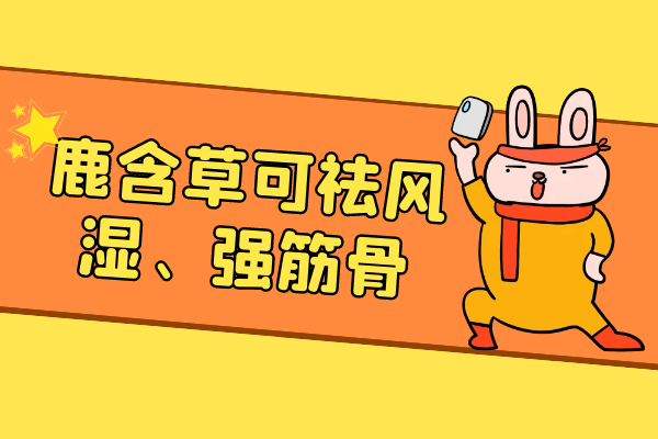  关于鹿含草的功效与作用及禁忌你了解多少？