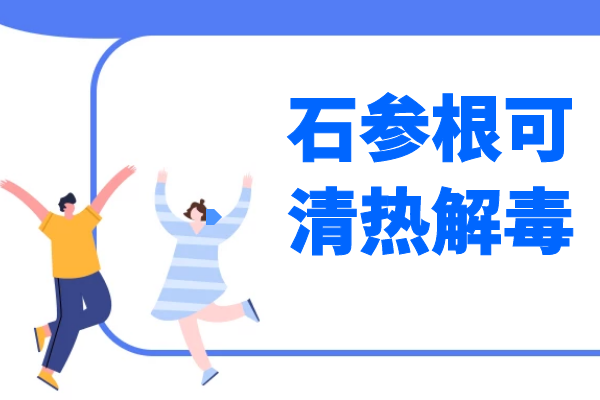  石参根的功效与作用  吃石参根有什么好处？