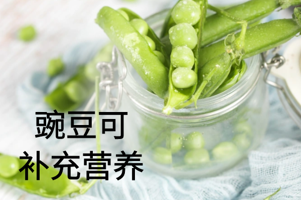  关于雪豆的功效与作用及禁忌你了解多少？