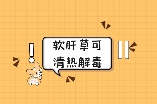  软肝草的功效与作用及禁忌有哪些？