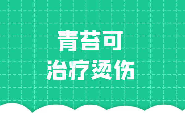  青苔的功效与作用及禁忌有哪些？
