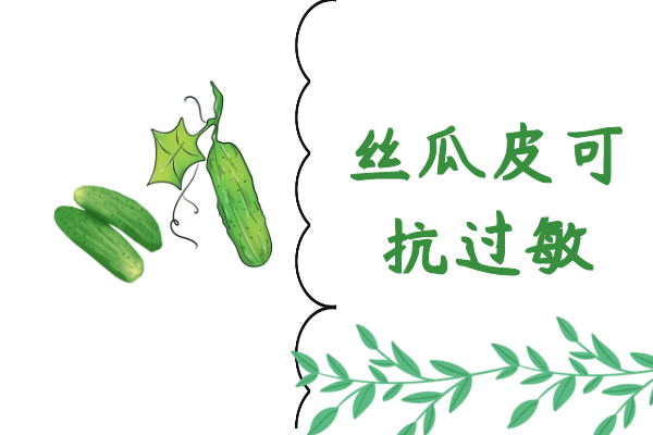  关于丝瓜皮的功效与作用及禁忌你了解多少？