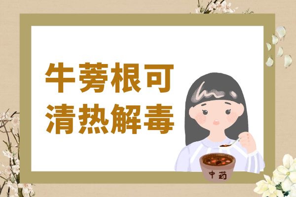  牛蒡根的功效与作用及禁忌有哪些？