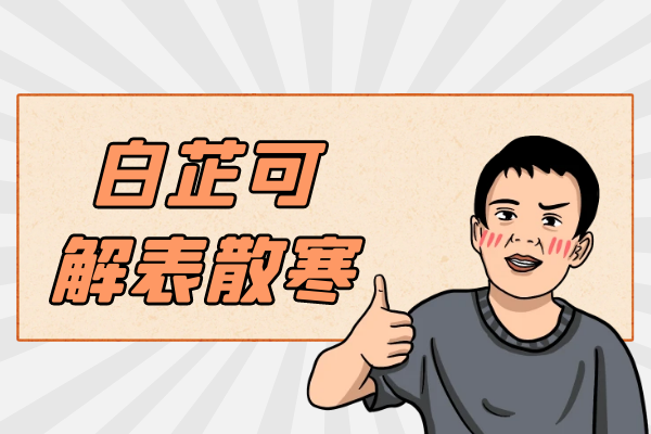  白芷的功效与作用及禁忌有哪些？