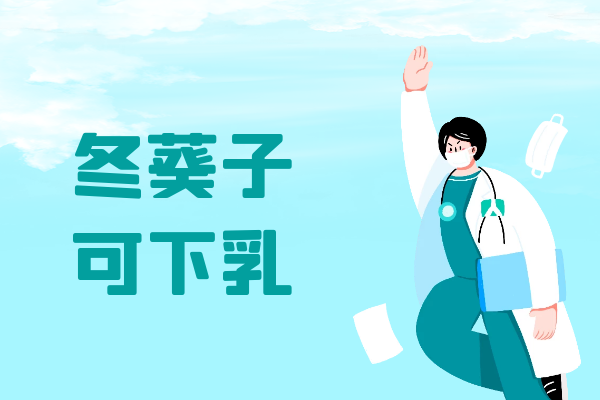 关于冬葵子的功效与作用及禁忌你了解多少？