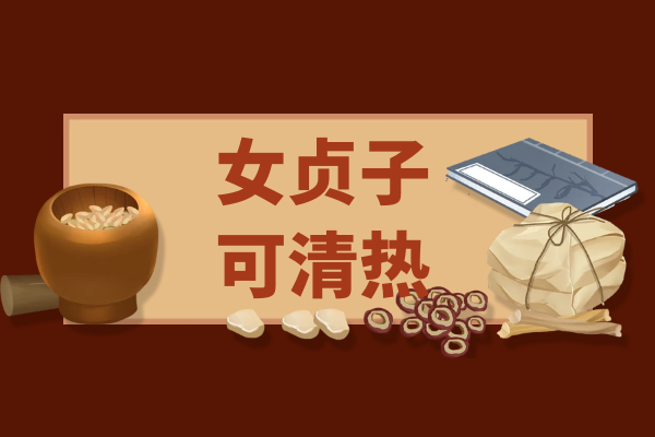  关于女贞子的功效与作用及禁忌你了解多少？