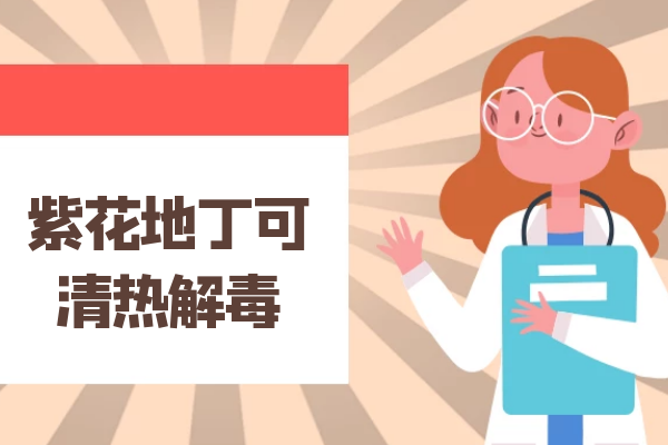  关于紫花地丁的功效与作用及禁忌你了解多少？