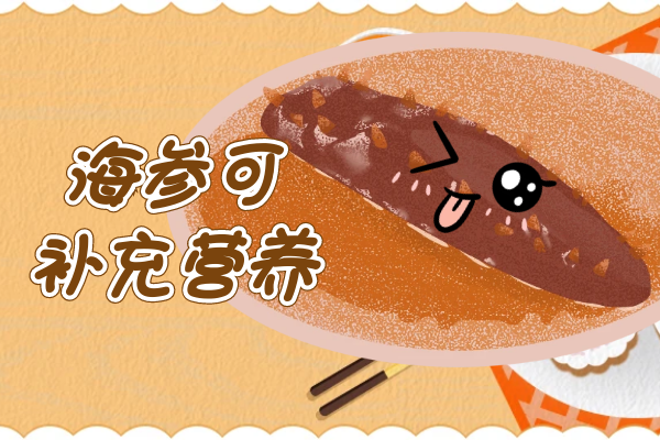  海参的功效与作用及禁忌有哪些？
