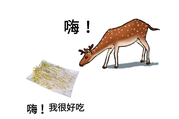  黄豆芽和黑豆芽的区别有哪些？两者有这些不同之处