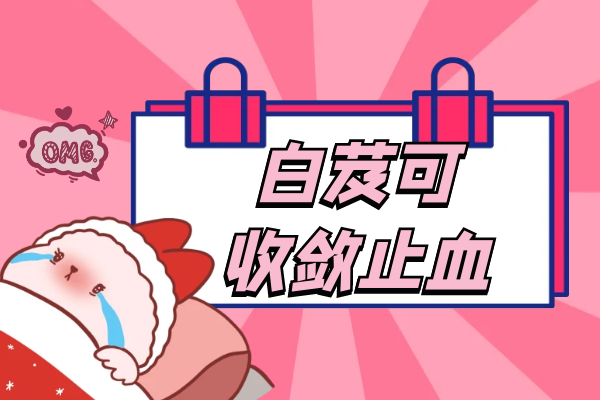  关于白芨的功效与作用及禁忌你了解多少？