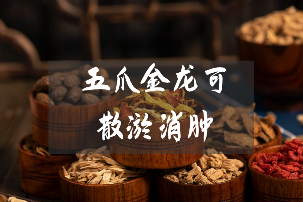  五爪金龙的功效与作用及禁忌有哪些？