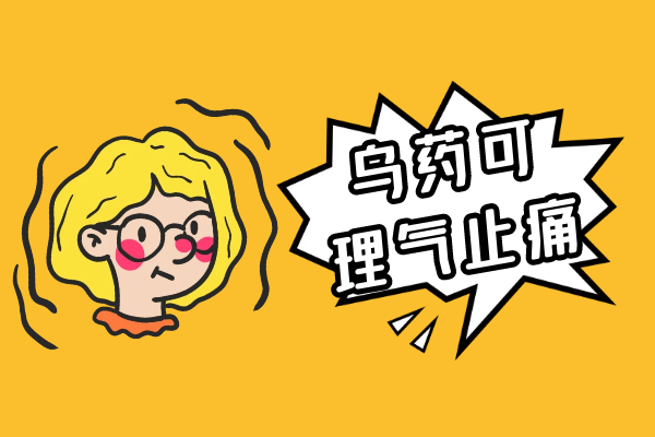  乌药的功效与作用及禁忌有哪些？