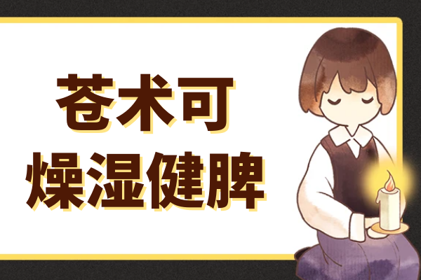  关于苍术的功效与作用及禁忌你了解多少？