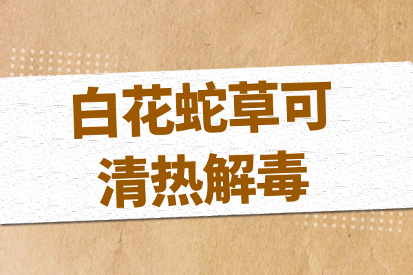  关于白花蛇草的功效与作用及禁忌你了解多少？