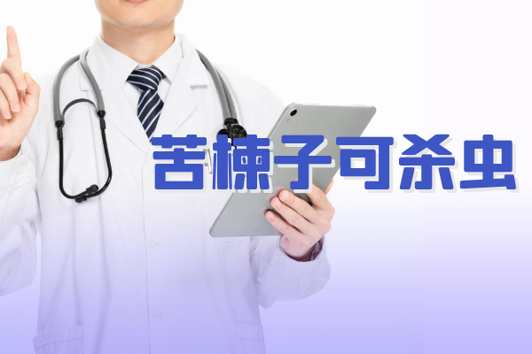  苦楝子的功效与作用及禁忌有哪些？