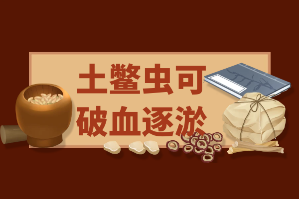  土鳖虫的功效与作用及禁忌有哪些？