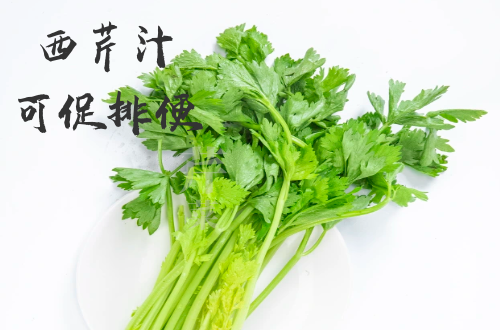  西芹汁的功效与作用及禁忌有哪些？