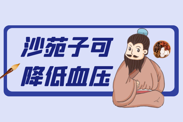  沙苑子的功效与作用及禁忌有哪些？