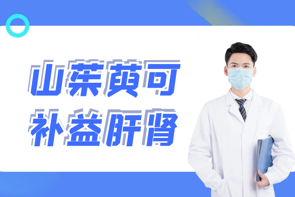  山茱萸的功效与作用及禁忌