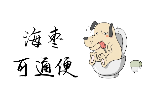  海枣的功效与作用及禁忌有哪些？