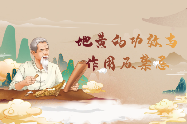  地黄的功效与作用及禁忌