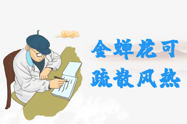  关于金蝉花的功效与作用及禁忌你了解多少？