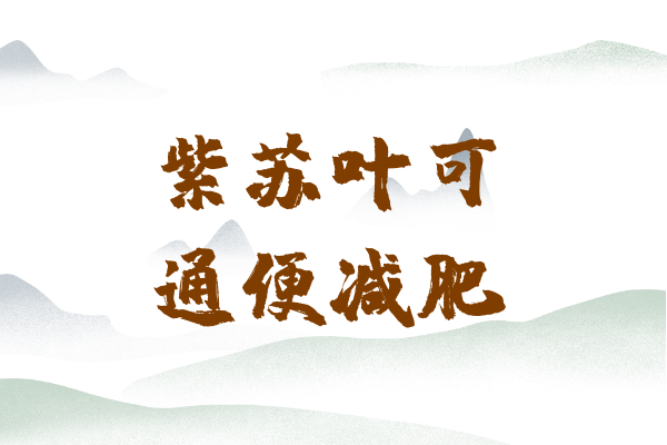  紫苏叶的功效与作用及禁忌