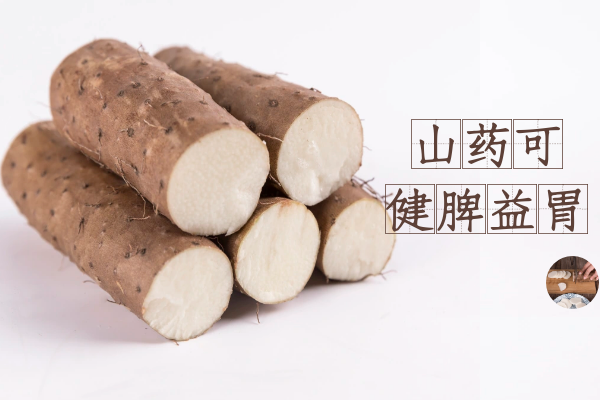  山药的功效与作用及禁忌
