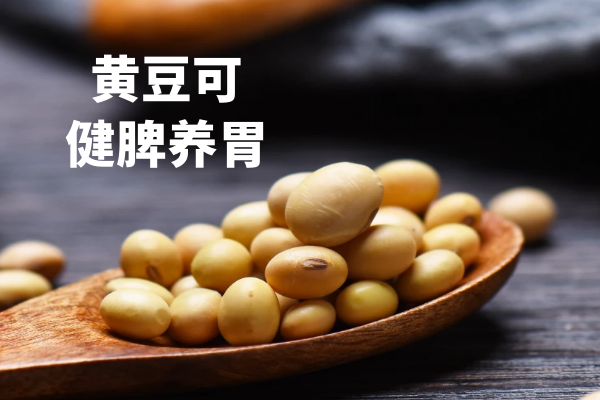 黄豆的功效与作用及禁忌有哪些？